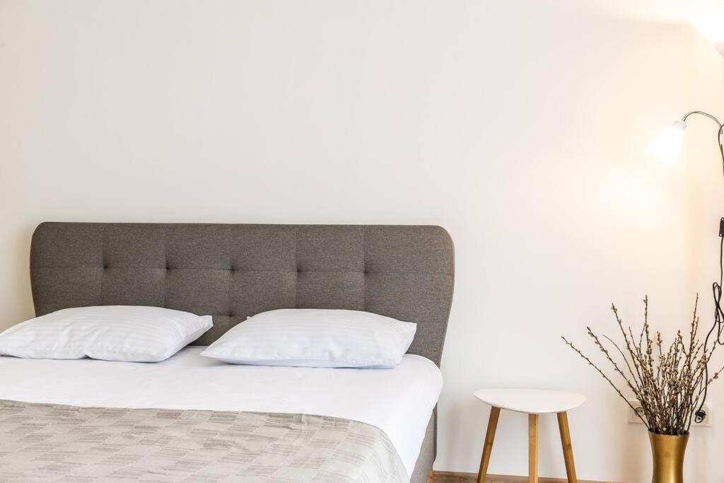 Urban Plant Haven Apartment
