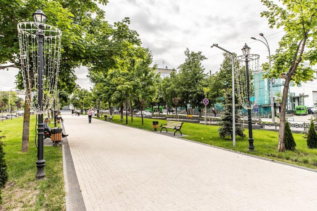 Urban Plant Haven Chisinau