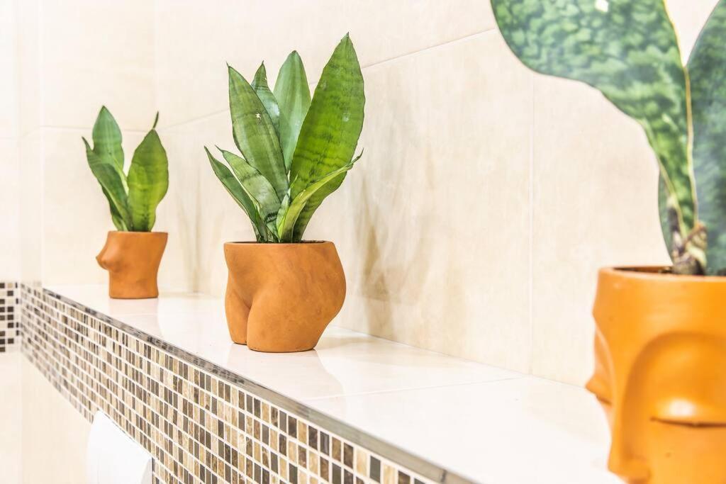 Urban Plant Haven *
